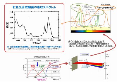 400_スペクトル調査-001