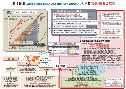 1280_日本政府の見解と識者の反発