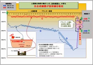 320_実験⑤表面変化