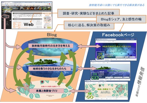 情報ネット体系