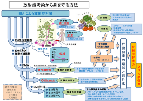 放射能汚染から身を守る