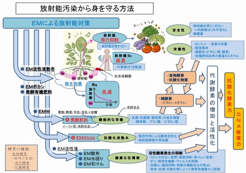 640_放射能汚染から身を守る