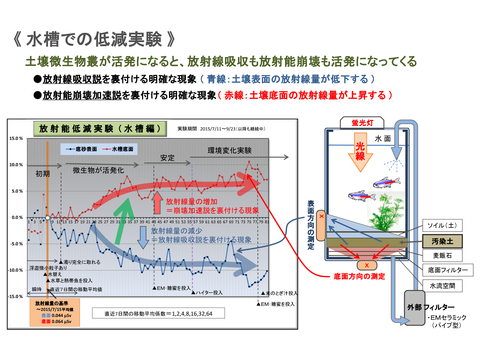 水槽実験