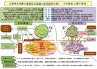 640_微生物の認識の違い-008