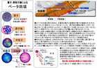 s520-ベータ崩壊