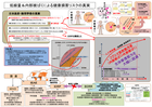 健康損害リスク