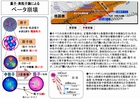 s1280-ベータ崩壊メカニズムに迫る