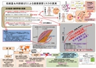 640_健康損害リスク