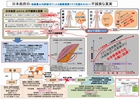 640_不誠実な真実