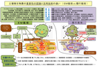 土壌微生物叢の考え方