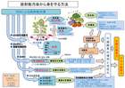 放射能汚染から身を守る