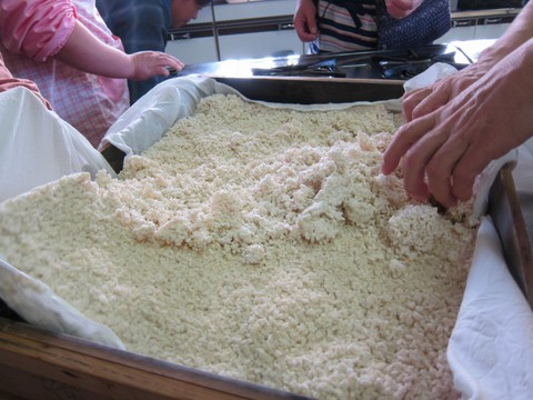 800_miso03 (9)